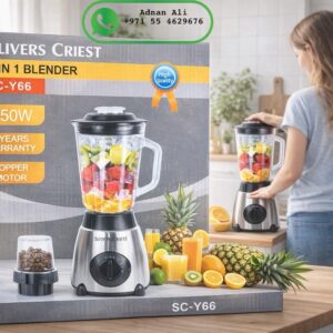 SC-Y66 Glass Blender 2in1